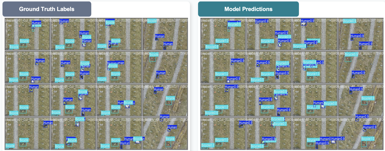 Ground Truth Labels vs Model Predictions